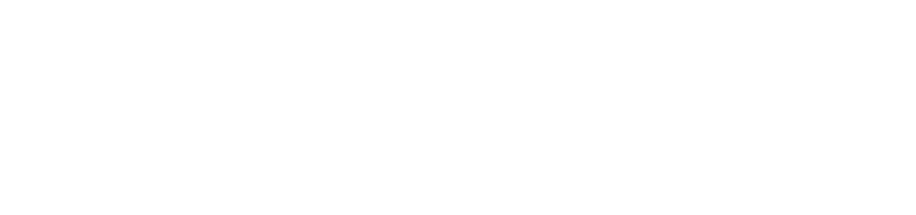 Capstone National Insurance Group