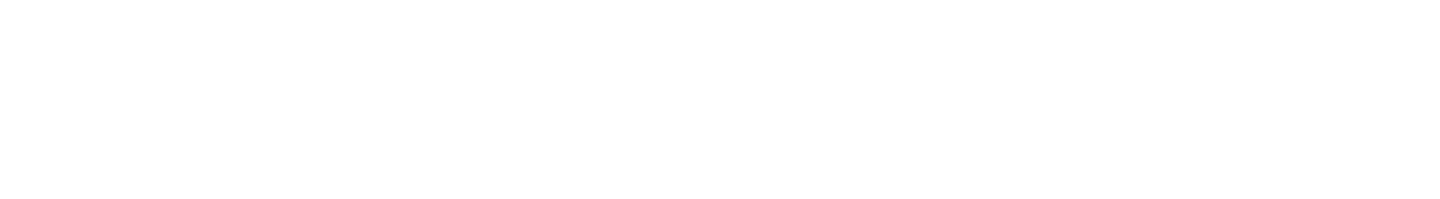 Capstone National Insurance Group
